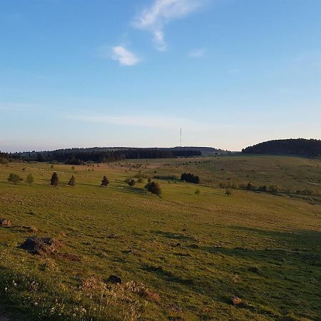 Ferienwohnung Pusteblume Ehrenberg  Εξωτερικό φωτογραφία
